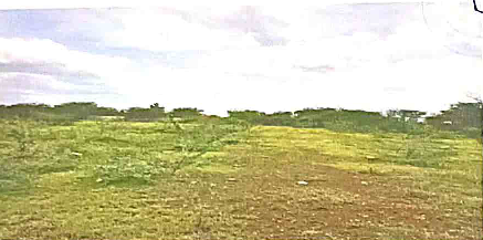 course